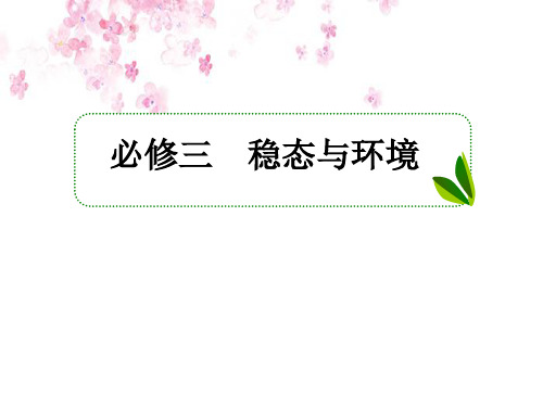 高考一轮生物复习课件(人教版)第2讲 通过神经系统的调节