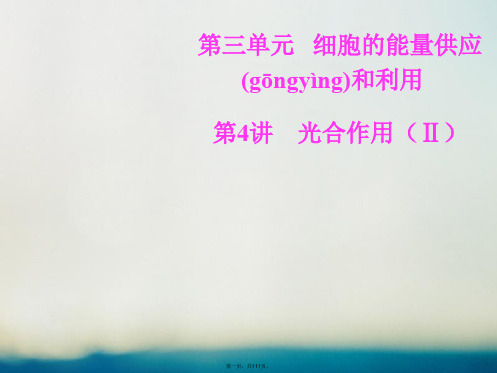 高考生物总复习第三单元细胞的能量供应和利用第4讲光合作用(Ⅱ)课件