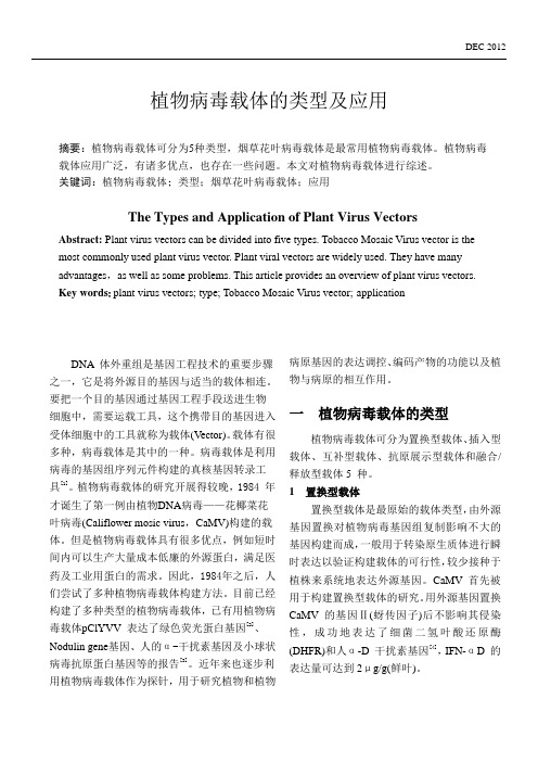 植物病毒载体