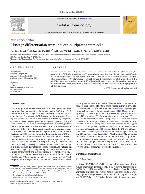 T lineage differentiation from induced pluripotent stem cells