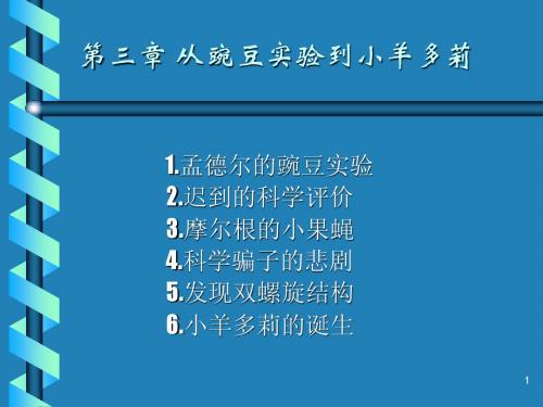 《百年科技史话》课件3