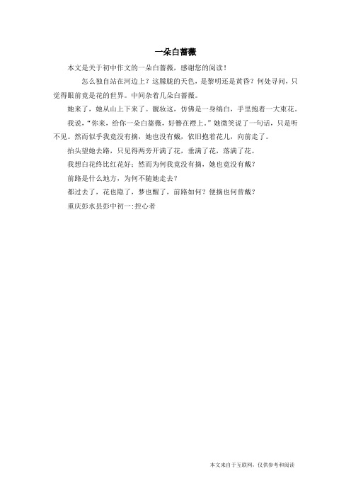 一朵白蔷薇_初中作文