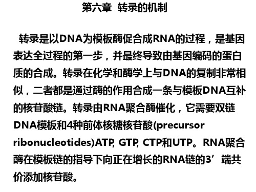 转录的机制