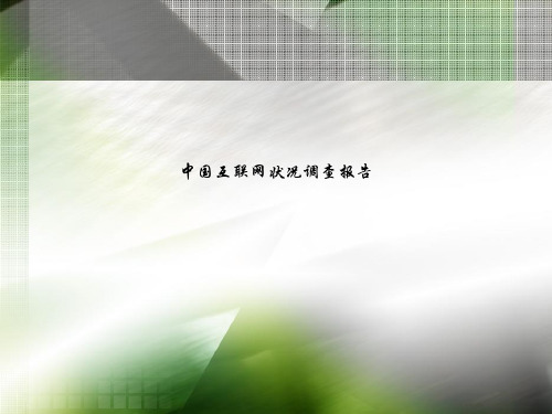 中国互联网状况调查报告