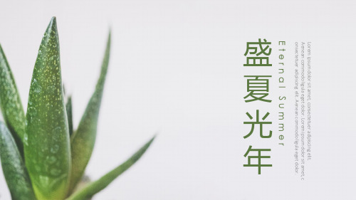 盛夏光年介绍PPT