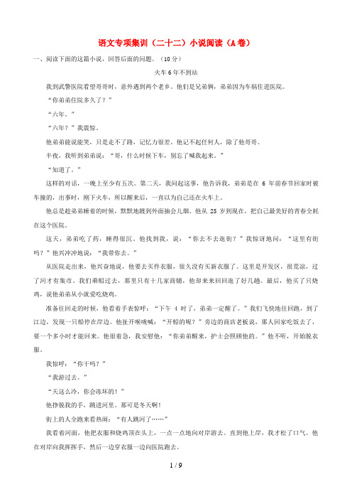 中考语文专项集训小说阅读(A卷)
