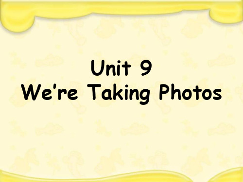 教科版四年级下册英语课件Unit 9 We're Taking Photos 2