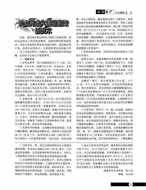 快速育成大规格泥鳅新技术