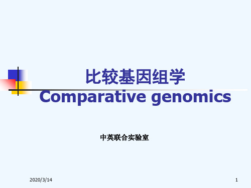 比较基因组学PPT课件