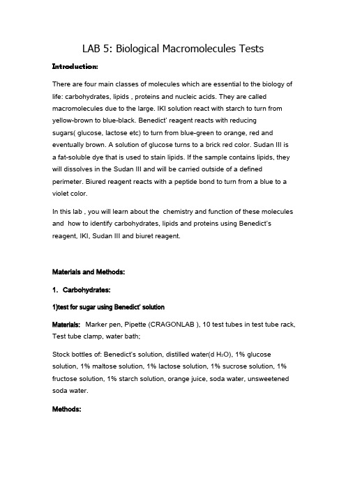 LAB 5 Biological Macromolecules Report
