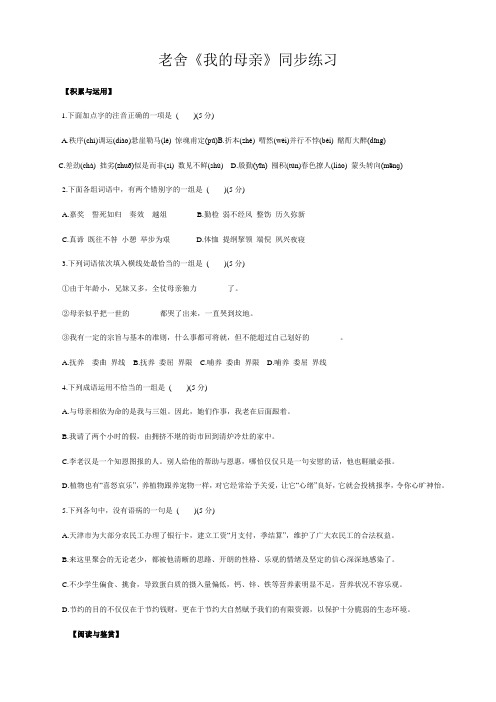 〈我的母亲〉练习题