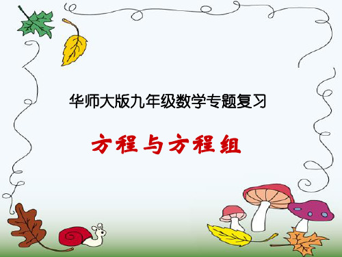 华师大版九年级数学专题复习