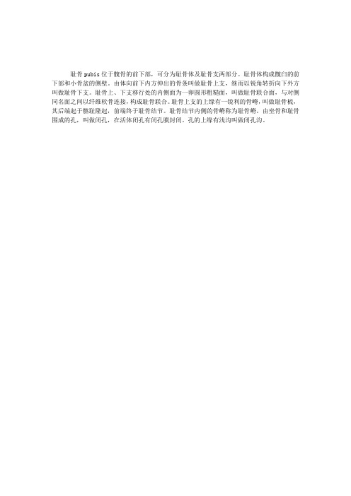 解剖指导：耻骨的结构与解剖简述