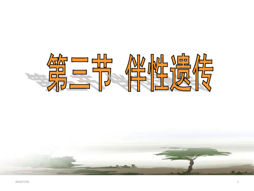 高中生物必修二 第2章 第3节   伴性遗传课件  (47张PPT)