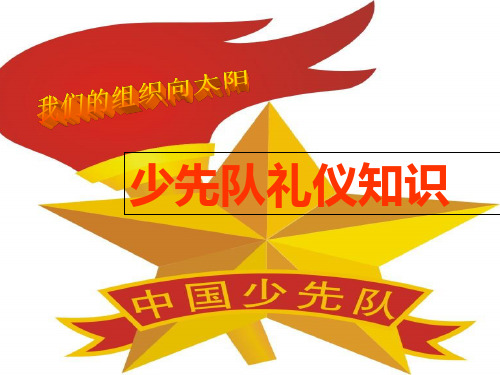 规范少先队礼仪培训课件