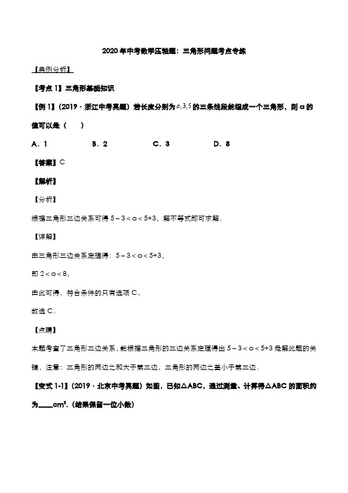 2020年中考数学压轴题：三角形问题考点专练