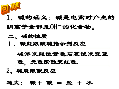 1.3探索碱的性质(第二课时)