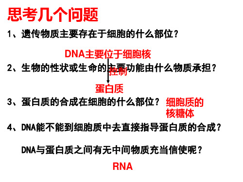 浙科版生物必修二遗传信息的表达