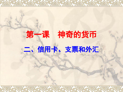 12信用卡支票和外汇(共43张)精品PPT课件
