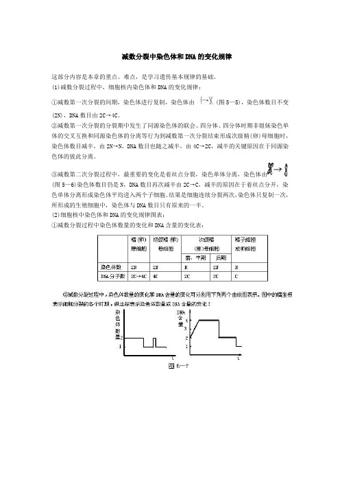 减数分裂中染色体和DNA的变化规律