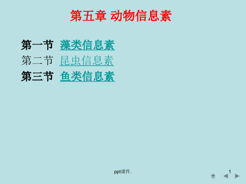 动物信息素ppt课件