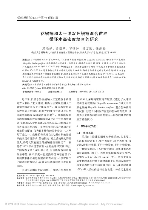 花鳗鲡和太平洋双色鳗鲡混合苗种循环水高密度培育的研究_赖晓健