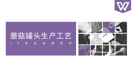 蘑菇罐头的生产工艺流程