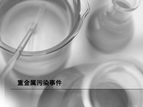 重金属污染及检测