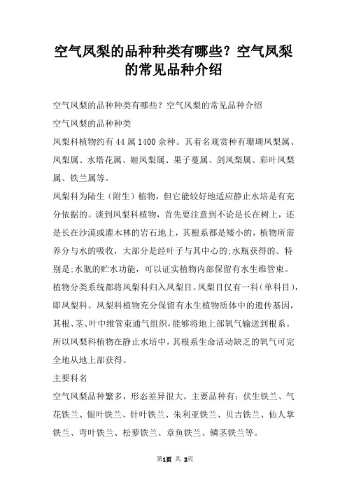 空气凤梨的品种种类有哪些？空气凤梨的常见品种介绍