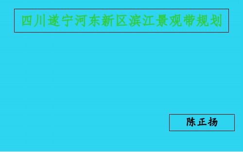 【全面版】四川遂宁河东新区滨江景观带规划PPT文档