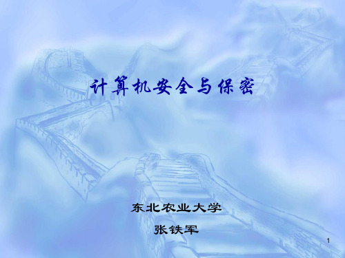 计算机系统安全概述PPT演示文稿