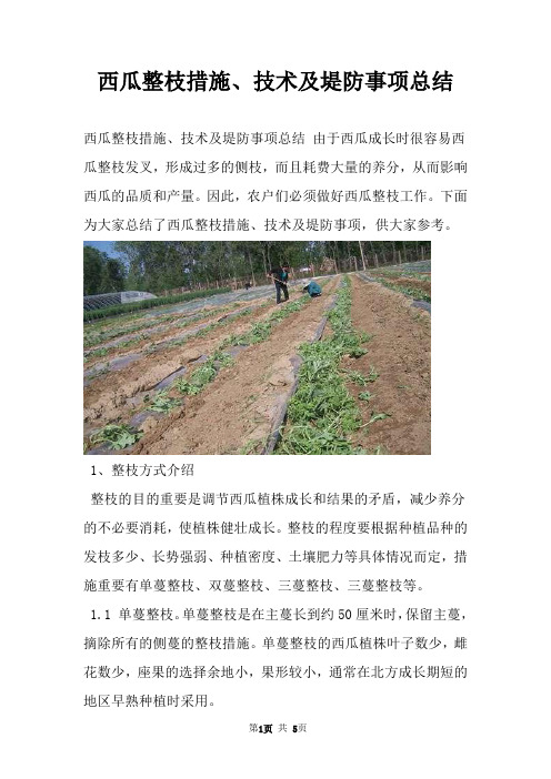 西瓜整枝措施、技术及堤防事项总结