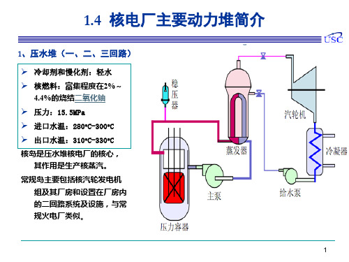 核反应堆-核电-核技术-核工程-1.4 核电厂主要动力堆简介 (1)