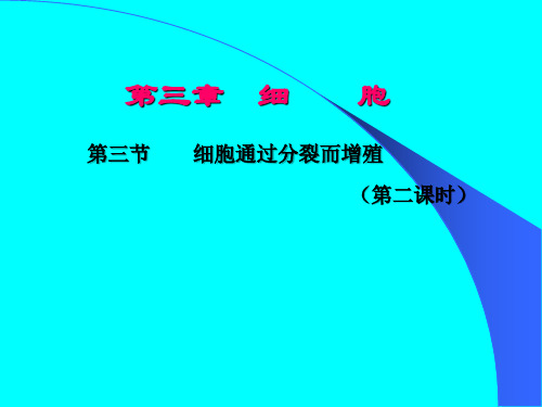 北师大版七年级生物上册 2.3.3 细胞通过分裂而增殖 课件(共30张PPT)