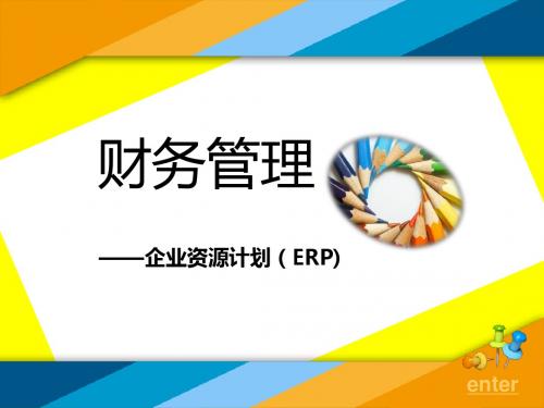 ERP财务管理报告PPT