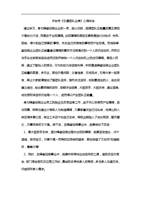 许林芳《引爆团队业绩》心得体会