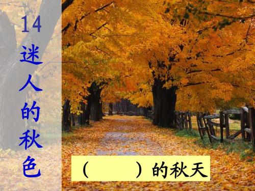 2016秋(沪教版)二年级语文上册《迷人的秋色》课件2