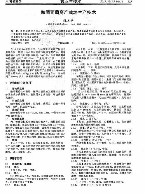 酿酒葡萄高产栽培生产技术