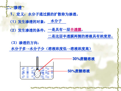 沪科版生物高中第一册3.1.1《细胞膜质壁分离》课件(共18张PPT)