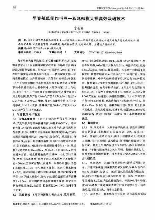 早春瓠瓜间作毛豆-秋延辣椒大棚高效栽培技术