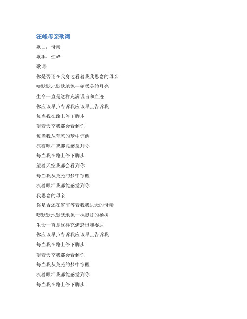 汪峰母亲歌词