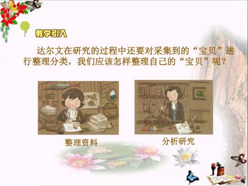 三年级科学上册1.3整理百宝箱PPT课件2湘教版