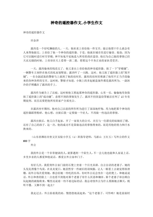 神奇的遥控器作文_小学生作文