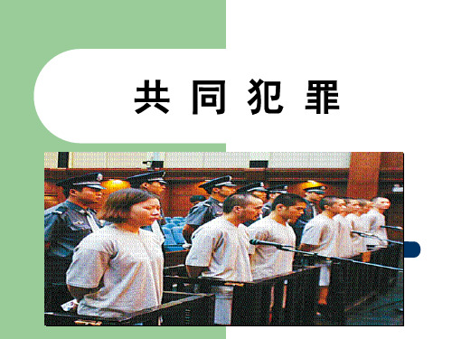 第十一章 共同犯罪