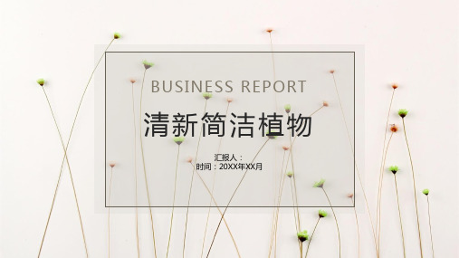 清新简洁小花植物背景PPT模板2套