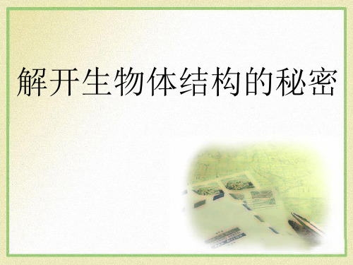 五年级下册科学课件-3.1 解开生物体结构的秘密(18)-湘科版