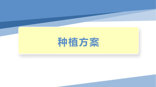 劳动教育校本课程-四年级下册-种植方案(课件)