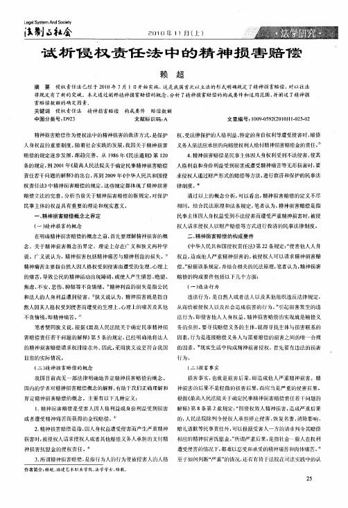试析侵权责任法中的精神损害赔偿