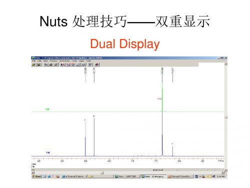 Nuts 处理技巧——dual display