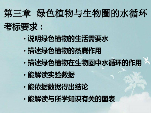 绿色植物与生物圈水循环复习